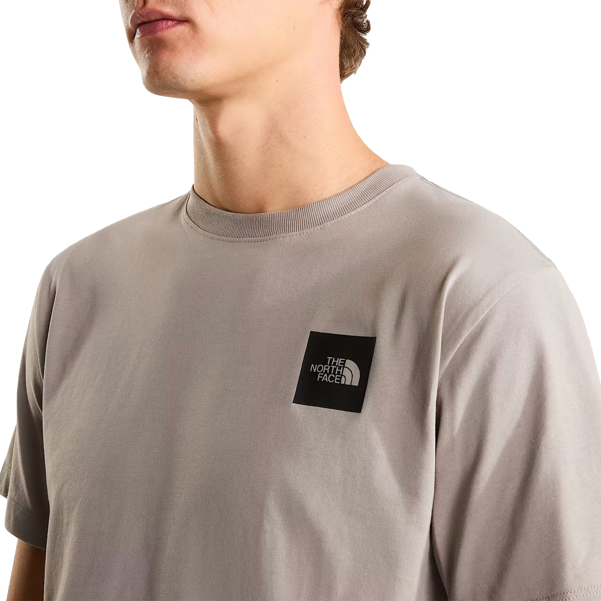 The North Face T-shirt M Evolution Box Half Dome Reg Stone Slab