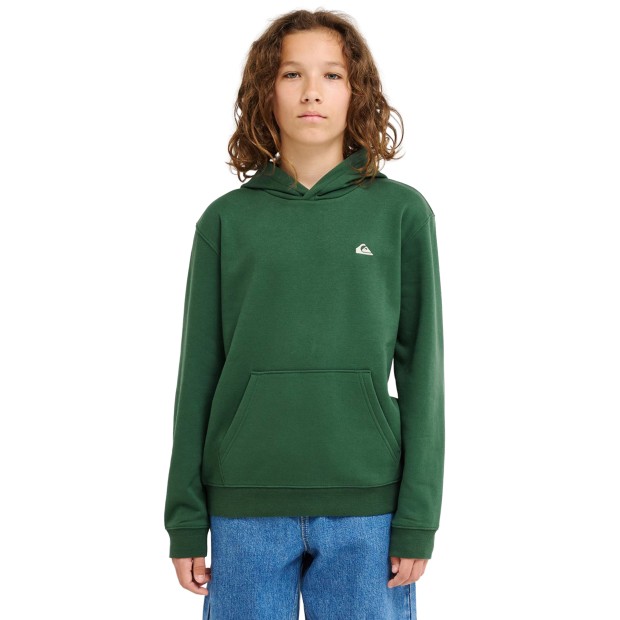 Quiksilver Sweat Basichoodieyth Forest