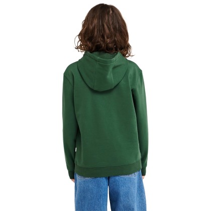 Quiksilver Sweat Basichoodieyth Forest Quiksilver Sweat Basichoodieyth Forest