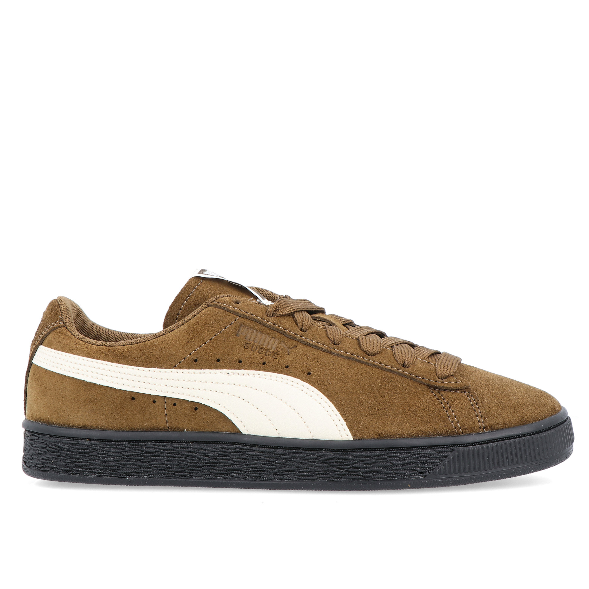 Puma Suede Charles F.stead Vi Aged Copper-alpine Snow