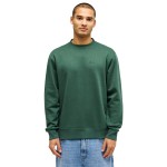 Quiksilver Sweat Salt Water Crew Forest