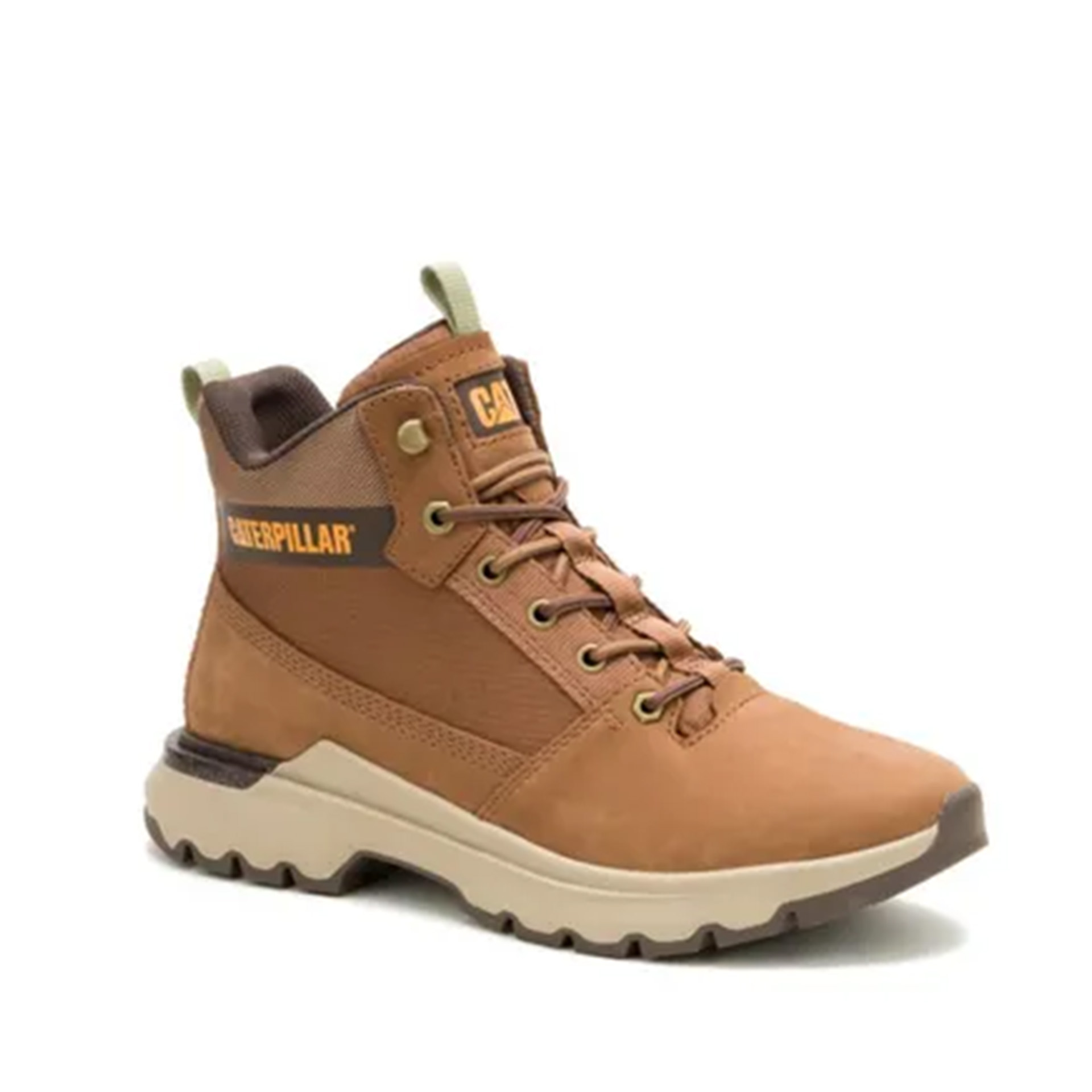 Caterpillar Colorado Sneake Dachshund