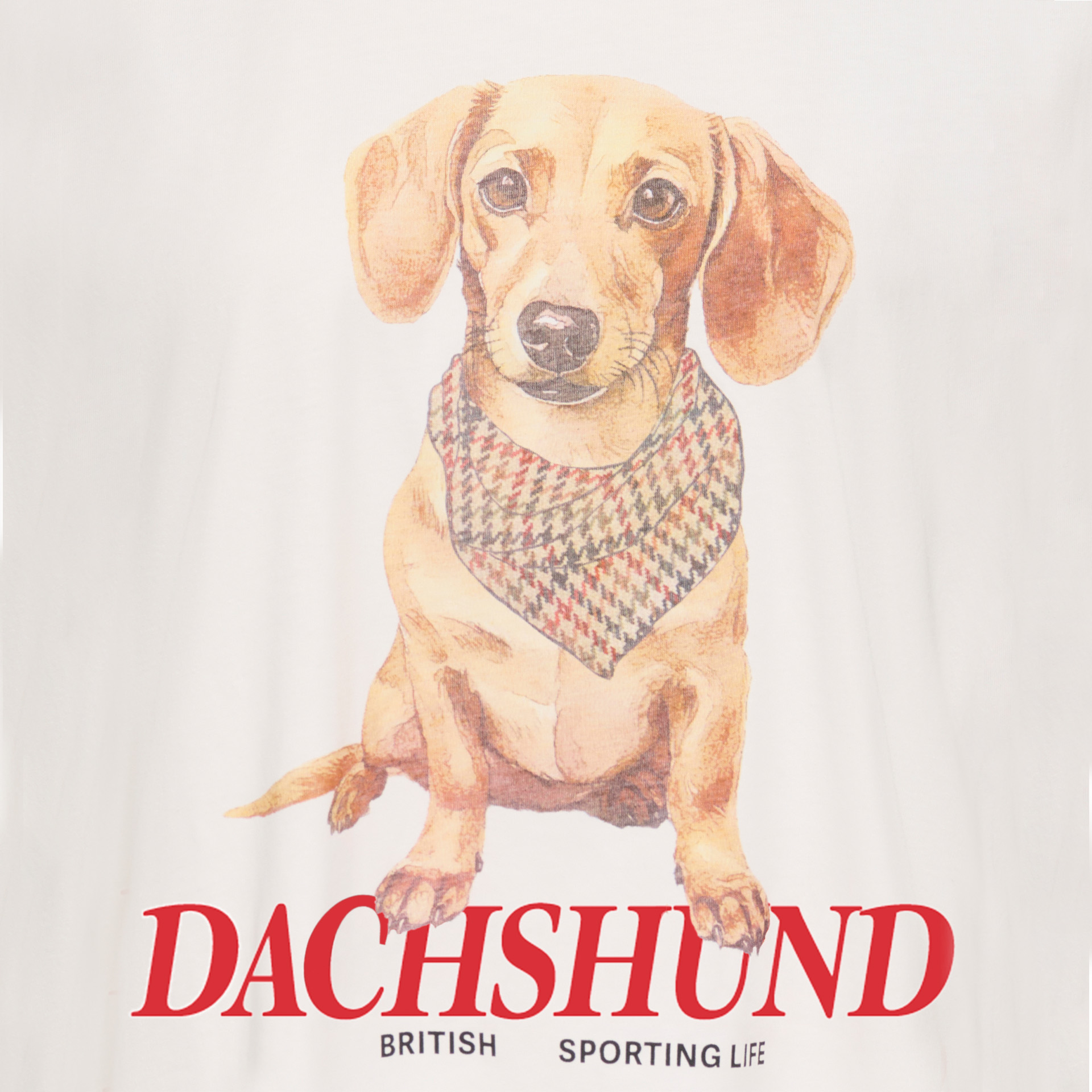 Only T-shirt Vivvi Lovely Cloud Dancer Dog Dachshund