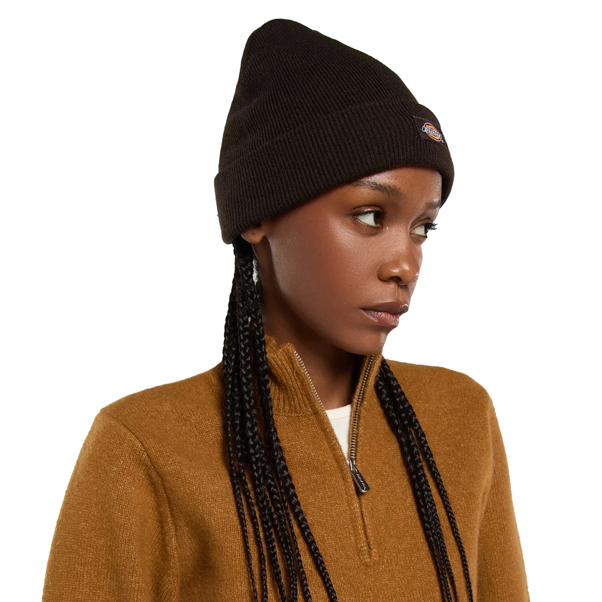 Dickies Gorro Gibsland Dark Brown