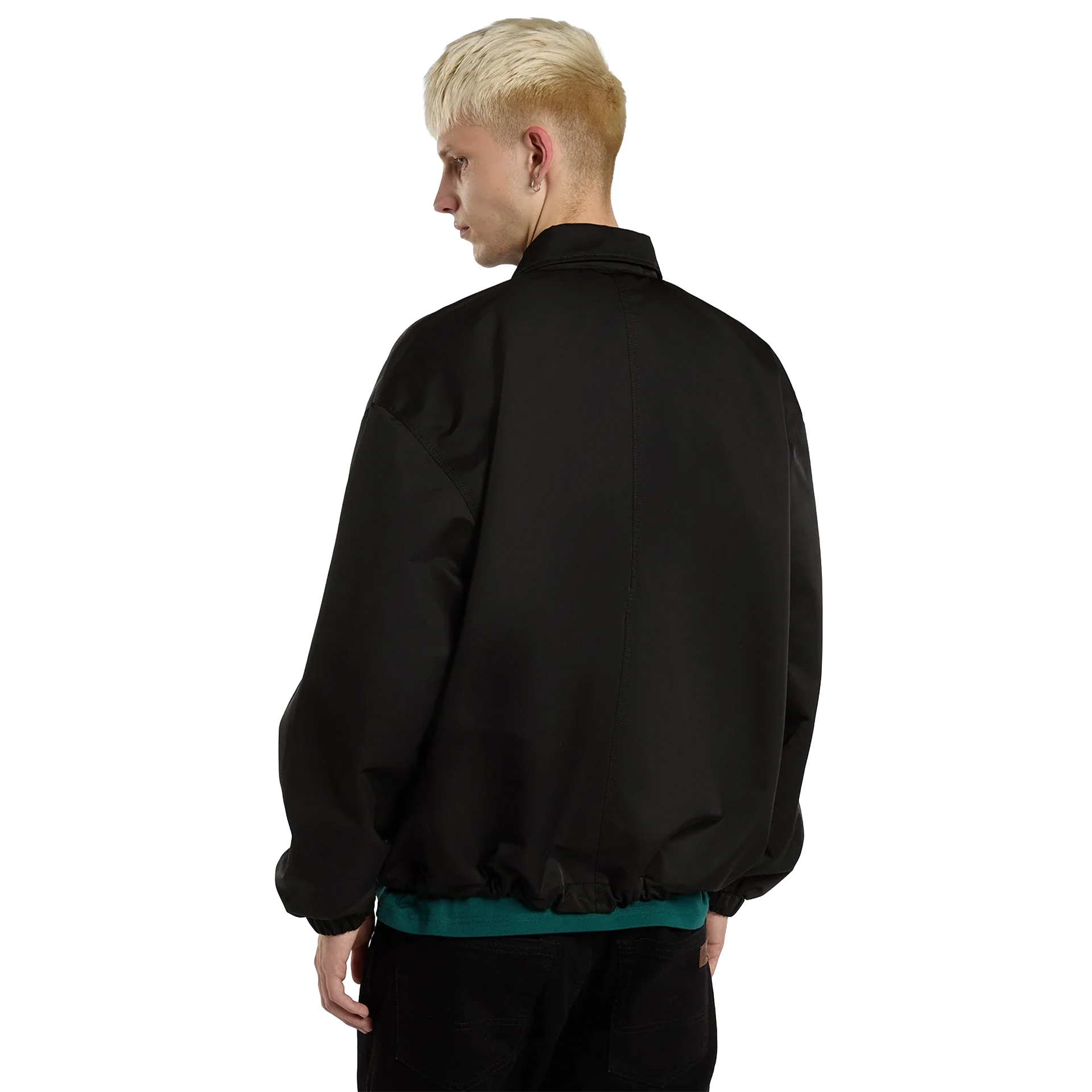 Dickies Casaco Parks Black