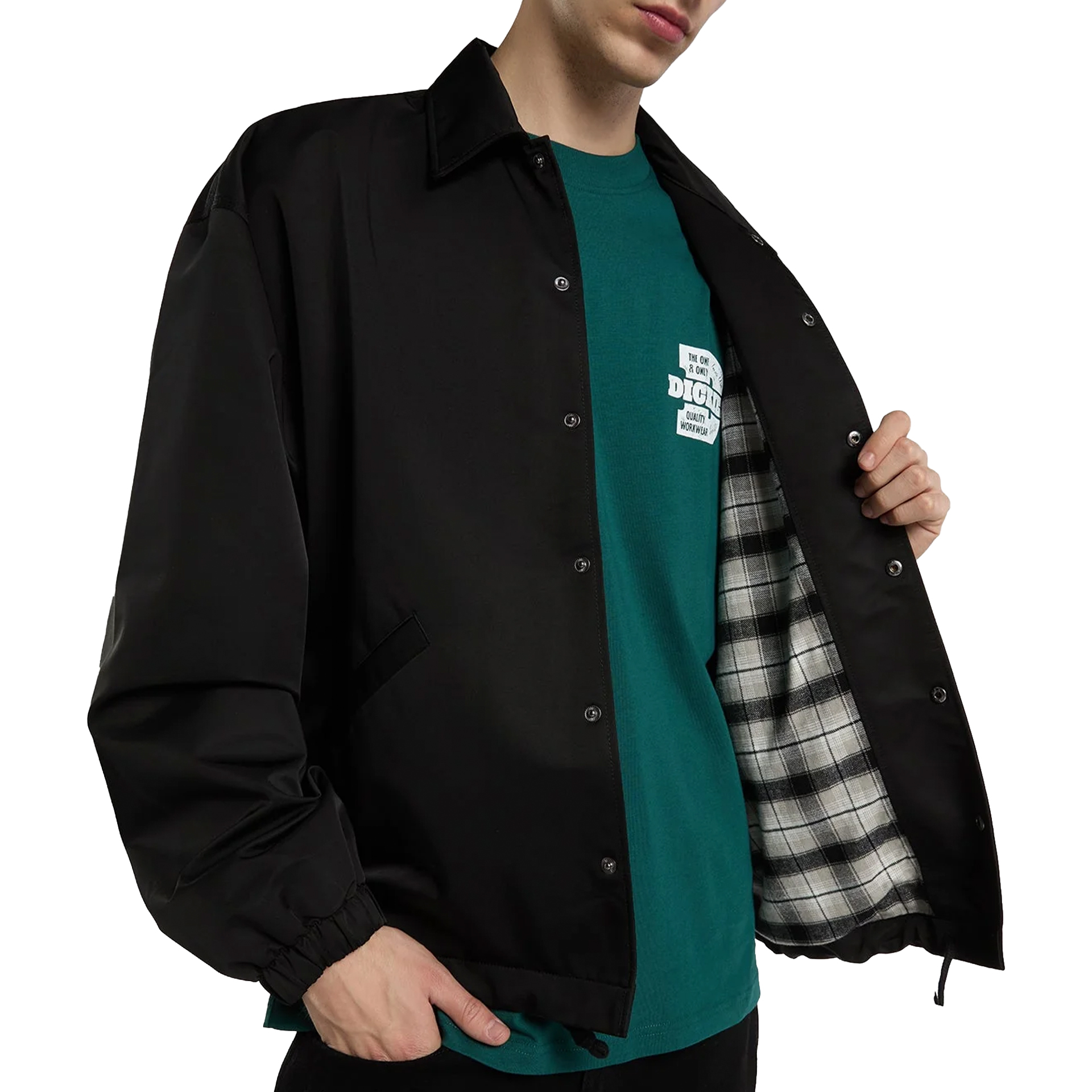 Dickies Casaco Parks Black